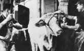 Le Sang des betes (1949)