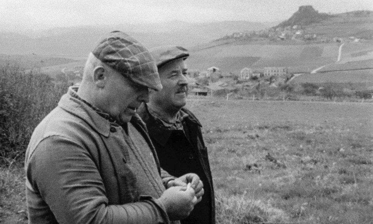 The Sorrow and the Pity